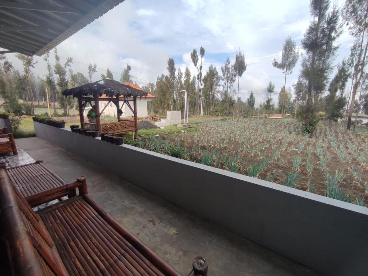 Elen Homestay By Abm Bromo Exterior photo
